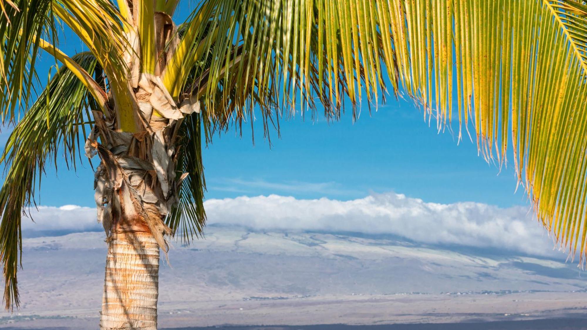 Starry Nights Dreamy 4Br Ainamalu Home With Mountain View Waikoloa Exterior foto